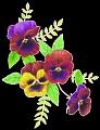 fleurs et nature (149)
